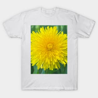 Dandelion flower T-Shirt